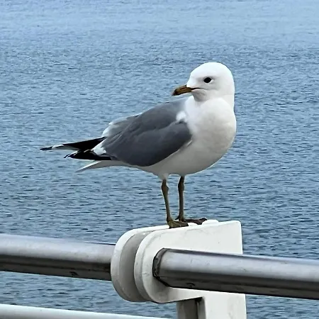 Ankerplatz 43 Im Olympiazentrum Schilksee Apartman