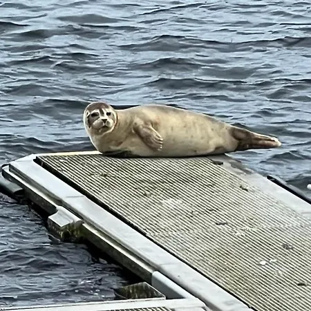 Ankerplatz 43 Im Olympiazentrum Schilksee Lägenhet Kiel