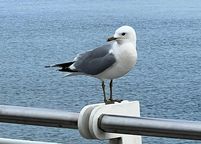 Ankerplatz 43 Im Olympiazentrum Schilksee Appartement