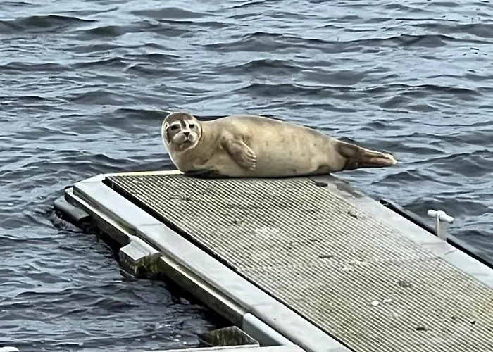 Ankerplatz 43 Im Olympiazentrum Schilksee Appartement Kiel